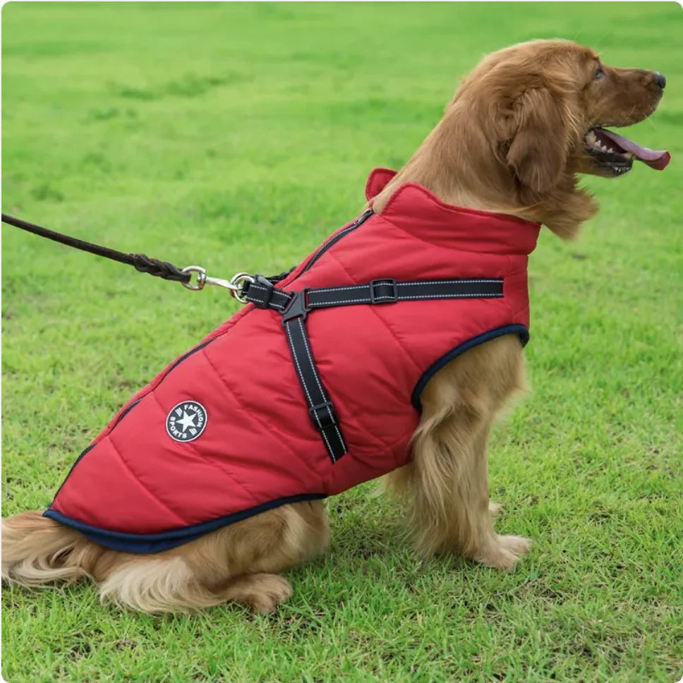 Reflective Waterproof Dog Coat for Autumn and Winter